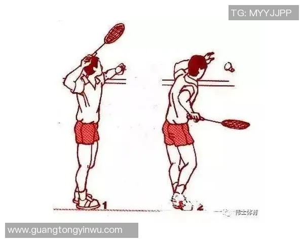 南京羽毛球队防反战术解析与深度剖析探索羽毛球竞技的奥秘与技巧 南京羽毛球队防反战术解析与深度剖析探索羽毛球竞技的奥秘与技巧