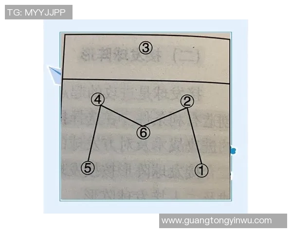 重庆排球队反击战术深度解析与实战应用探讨