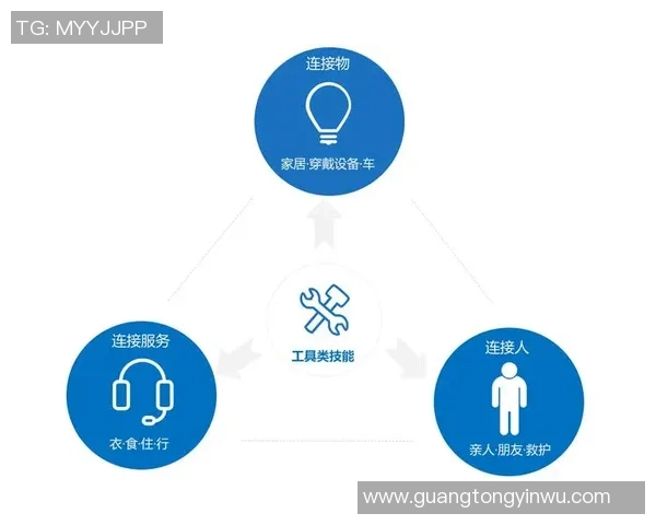 上海排球队技术解析：从战术布局到球员个人技能的全面剖析