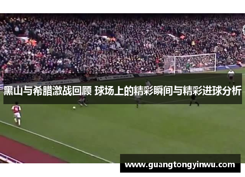 黑山与希腊激战回顾 球场上的精彩瞬间与精彩进球分析