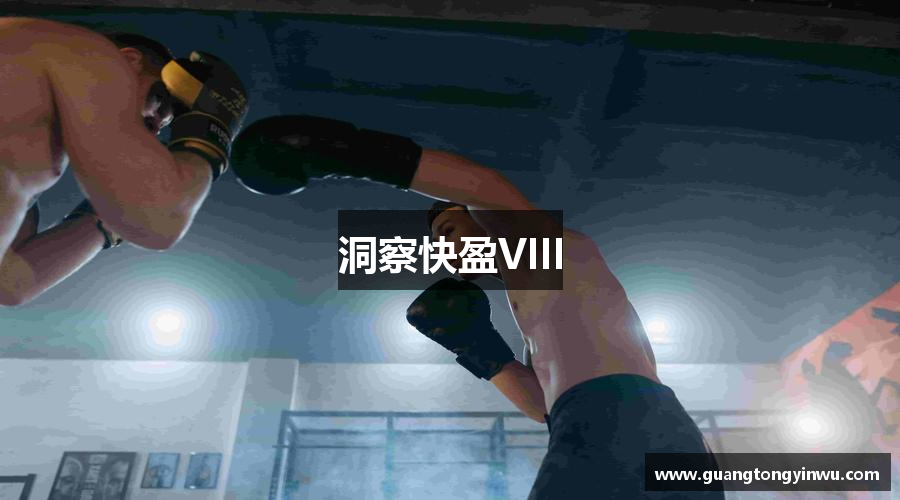 洞察快盈VIII