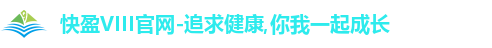 快盈VIII